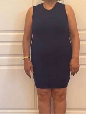 Zara Navy Sleeveless Mini Dress